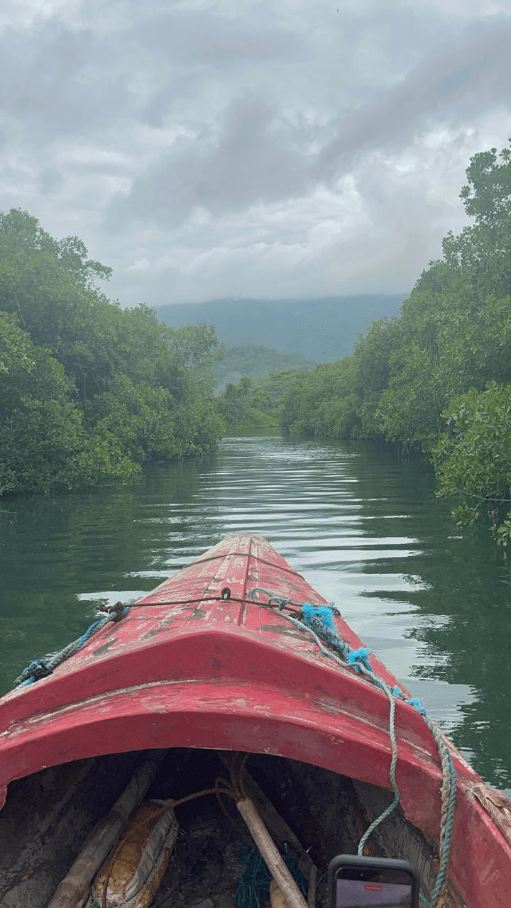 A green river seen from a raft.