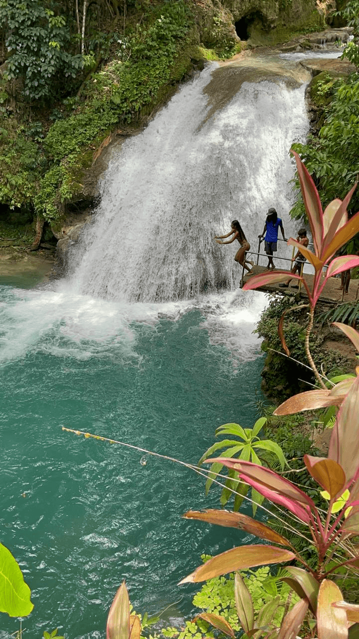 A waterfall cascading into a clear natural pool.